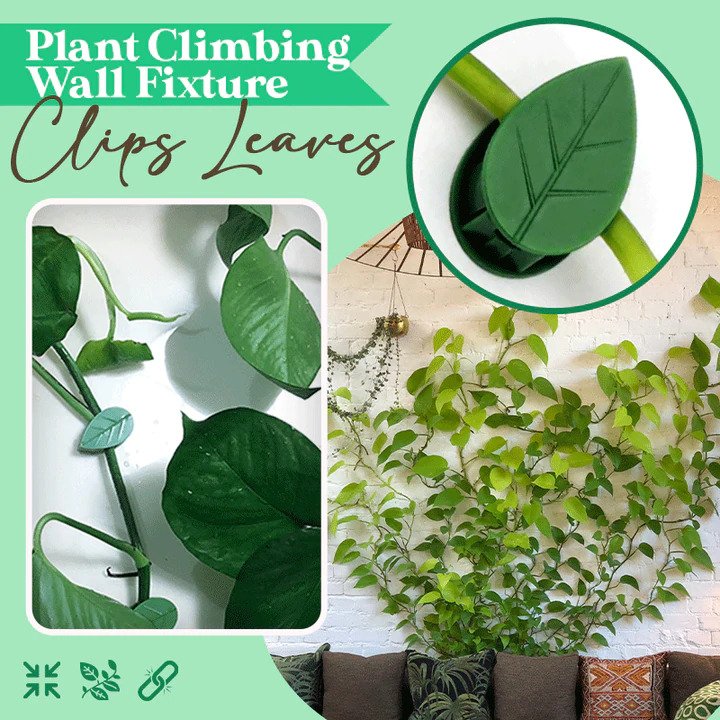 Plant vines Climbing Wall Fixture Clip  Green Leaf Plant Clip Garden Wall Clip Plant Clip for Climbing Plants